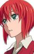 chise-hatori