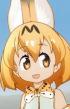 serval