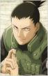 shikamaru-nara