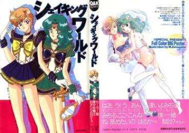 Virtual Shaking World Sailor Moon Soft