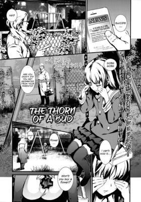 Tsubomi no Toge | The Thorn of A Bud