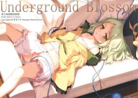 Petite Underground Blossom - Touhou project Sis