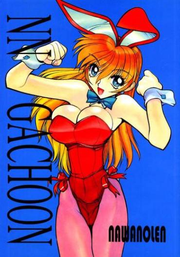 Vagina NN GACHOON Neon Genesis Evangelion Sailor Moon Magic Knight Rayearth Dirty Pair Flash Gay Cock