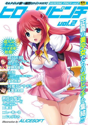 Sislovesme Heroine Pinch Vol. 2 - Taimanin asagi Beat angel escalayer Kuroinu kedakaki seijo wa hakudaku ni somaru Koutetsu no majo annerose Roludo