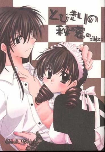 Cum Tobikikiri no Himitsu- Inuyasha hentai Big Natural Tits