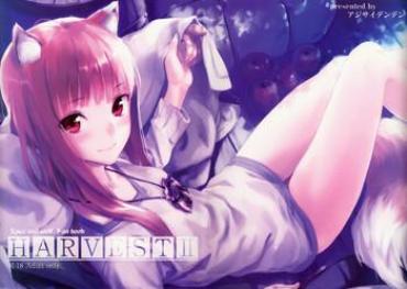 Best Blowjob Ever Harvest II Spice And Wolf Cutie