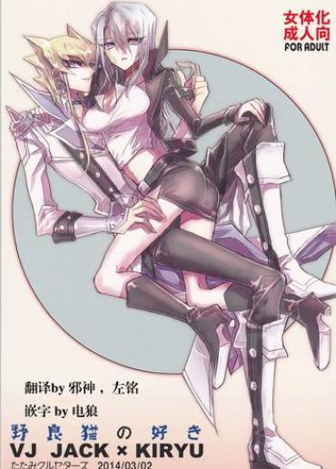 Party Noraneko No Suki Yu Gi Oh 5ds FreeAnimeForLife