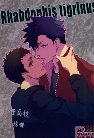 Bikini Rhabdophis Tigrinus- Haikyuu Hentai Massage Parlor