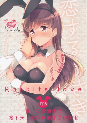 Old Koisuru Usagi - Rabbits love - Kantai collection Couple