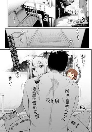 Pene Shokubutsu No Sodate Kata African