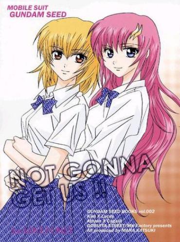 Butt NOT GONNA GET US!! Gundam Seed Justice Young