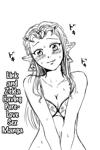 Hot Girl Pussy Link to Zelda ga Jun Ai Ecchi suru Manga | Link and Zelda Having a Pure-Love Sex Manga - The legend of zelda Topless