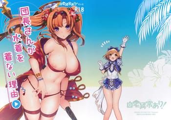 Culazo Danchou-san Ga Mizugi O Kinai Riyuu | The Reason Captain Doesn't Wear A Swimsuit Is... Granblue Fantasy Natasha Nice