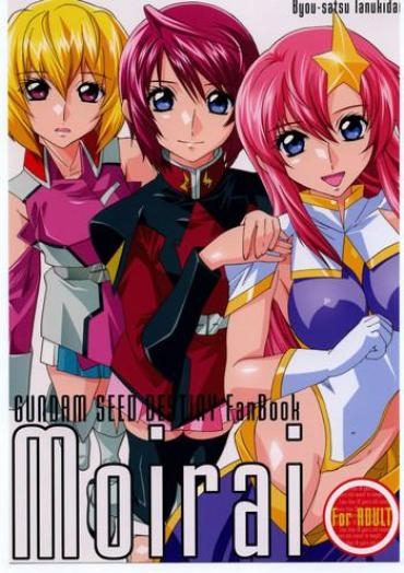 Gay Solo Moirai- Gundam Seed Destiny Hentai Concha