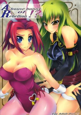 Sweet A house bunny of Rebellion!? - Code geass Gay Fetish