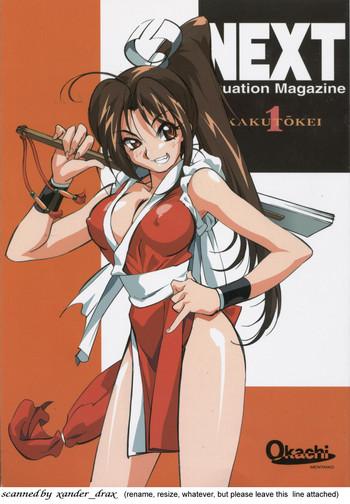 Slutty NEXT Situation Magazine 1 - Street fighter King of fighters Dead or alive Darkstalkers Rival schools Megaman Power stone And
