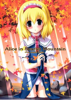Penetration Alice in Scarlet Mountain - Touhou project Gay Outinpublic
