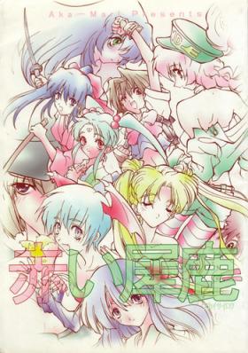 Car Akai Sairoku - Neon genesis evangelion Sailor moon Darkstalkers Sakura taisen Tenchi muyo Martian successor nadesico Rival schools Stepsister