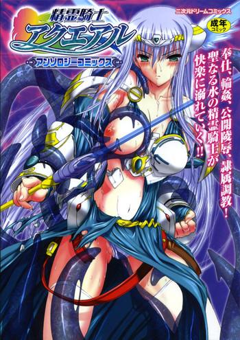 Seirei Kishi Aquael Anthology Comics