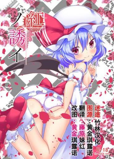 Blackcock Aka No Izanai Touhou Project SeekingArrangemen...