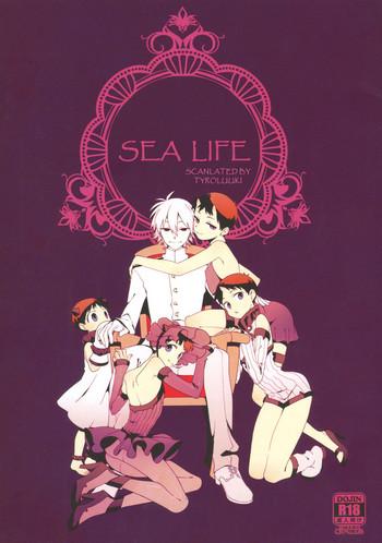 Gay Shorthair Shinkai Seikatsu | Sea Life - Neon genesis evangelion Gay College