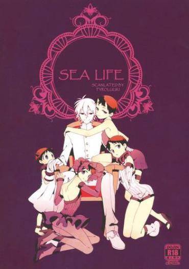 Porn Shinkai Seikatsu | Sea Life- Neon Genesis Evangelion Hentai Gym Clothes