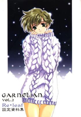 CARNELIAN vol.2  - Re·Leaf Settei Shiryou Tsudo