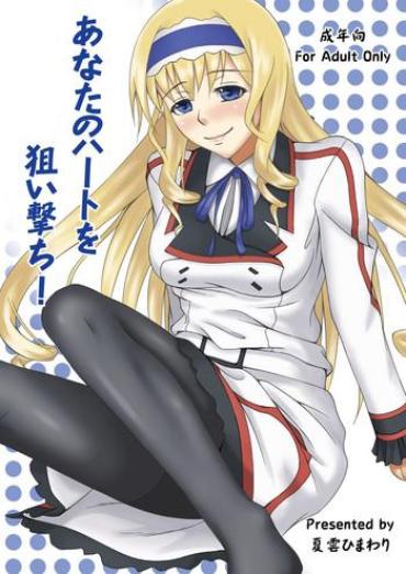 Dress Anata No Heart O Neraiuchi! Infinite Stratos Couples Fucking