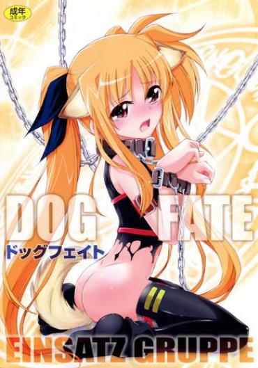 Gapes Gaping Asshole DOG FATE- Mahou Shoujo Lyrical Nanoha Hentai Fantasy
