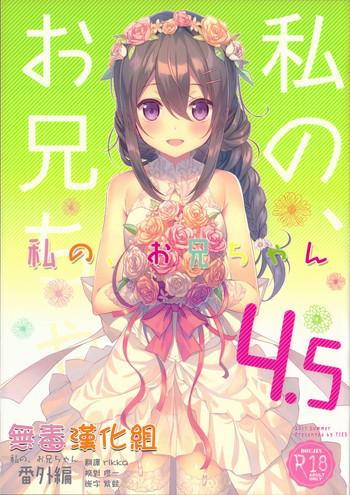 Hairypussy Watashi no, Onii-chan 4.5 Bangaihen Housewife