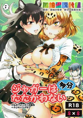Real Amature Porn Jaguar wa Tabun Tatakawanai - Kemono friends Hot Women Having Sex