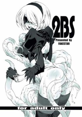 2BS