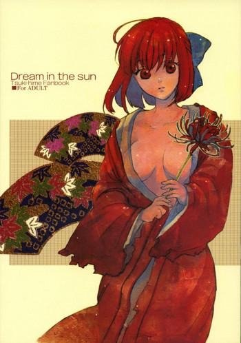 Free Teenage Porn Dream in the sun - Tsukihime Lezdom