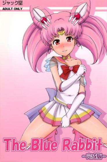Hunks The Blue Rabbit Kanseiban- Sailor moon hentai Sex Toys