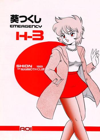 Reversecowgirl AOI Tsukushi Emergency H3 SHION 1989 Ghetto