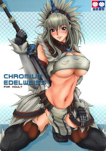 Clothed Sex CHROMIUM EDELWEISS - Monster hunter Japanese