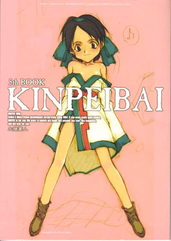 Gay Interracial Kinpeibai 5 - Samurai spirits Big Black Dick