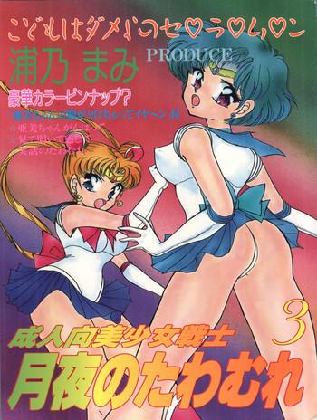 Euro Porn Tsukiyo no Tawamure 3 - Sailor moon Gay Cumshot