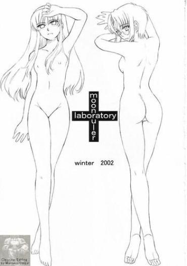 Nudity Moon Ruler Laboratory 2002 Winter Tsukihime GamCore