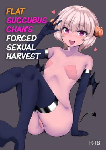Throatfuck [Aloha Soft] Pettanko Succubus-chan No Gorioshi Sakusei | Flat Succubus-chan's Sexual Harvest [English] Original People Having Sex