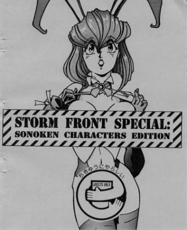 Holes Storm Front Special - SonoKen Characters Edition- Gunsmith cats hentai Spanking