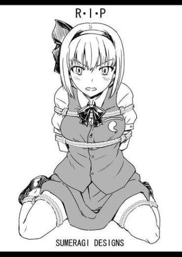 Asses R. I. P.- Touhou Project Hentai Fishnet