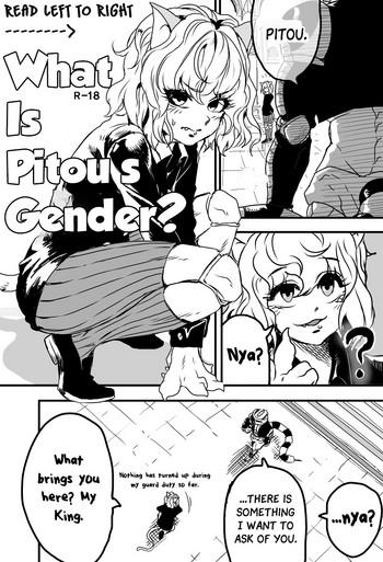 IndianSexHD 피트의 성별은? | What Is Pitou's Gender? Hunter X Hunter Dominicana