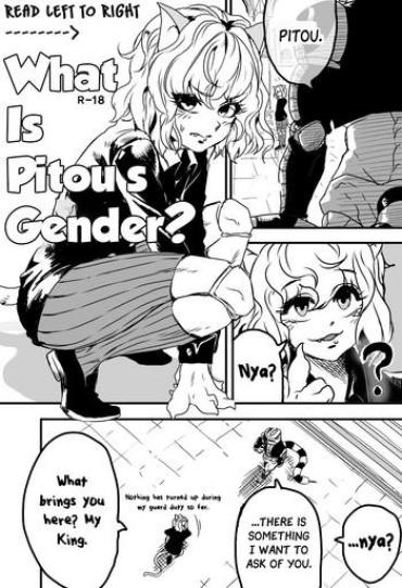 Underwear 피트의 성별은? | What Is Pitou's Gender?- Hunter X Hunter Hentai Cash