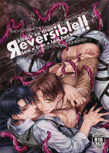 Gay Hairy Reversible!! - Shingeki no kyojin Carro