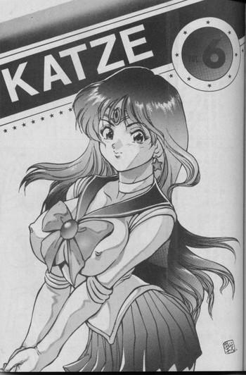 Cougars Katze Vol. 06 - Sailor moon Amateurs