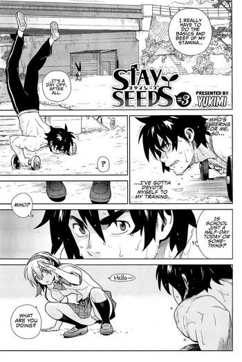 Gay Stay Seeds Chapter 3 Gay Boys