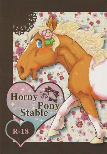 Rubbing Horny Pony Stable Original Sex Toys