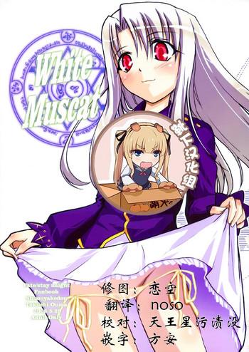 Gym White Muscat - Fate stay night Belly