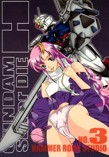 Room Gundam-H 3 - Gundam seed Hard Core Free Porn